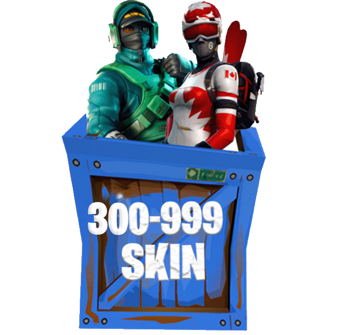 ACCOUNT FORTNITE 300-999 SKIN (FULL ACCESS)